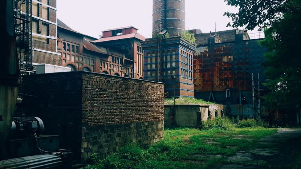 Zarůstající průmyslový areál na okraji města